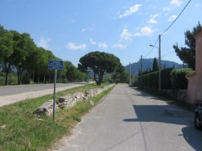 Albizzi, une avenue à Cassis
