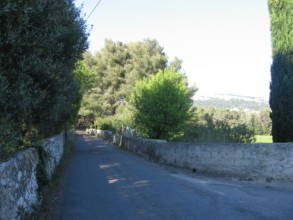 Chemin du plan olive à Cassis