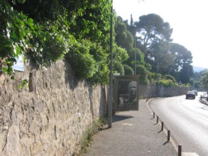 Avenue de Provence à Cassis 