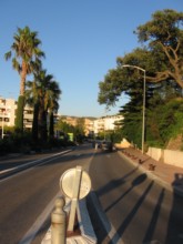 Professeur René Leriche, une avenue de Cassis 